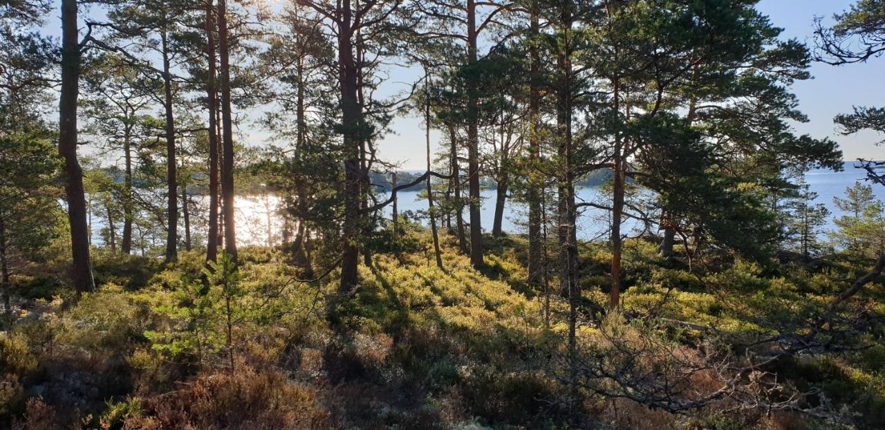 Rolfskaerrs Stugby Hotel Nygard  Bagian luar foto