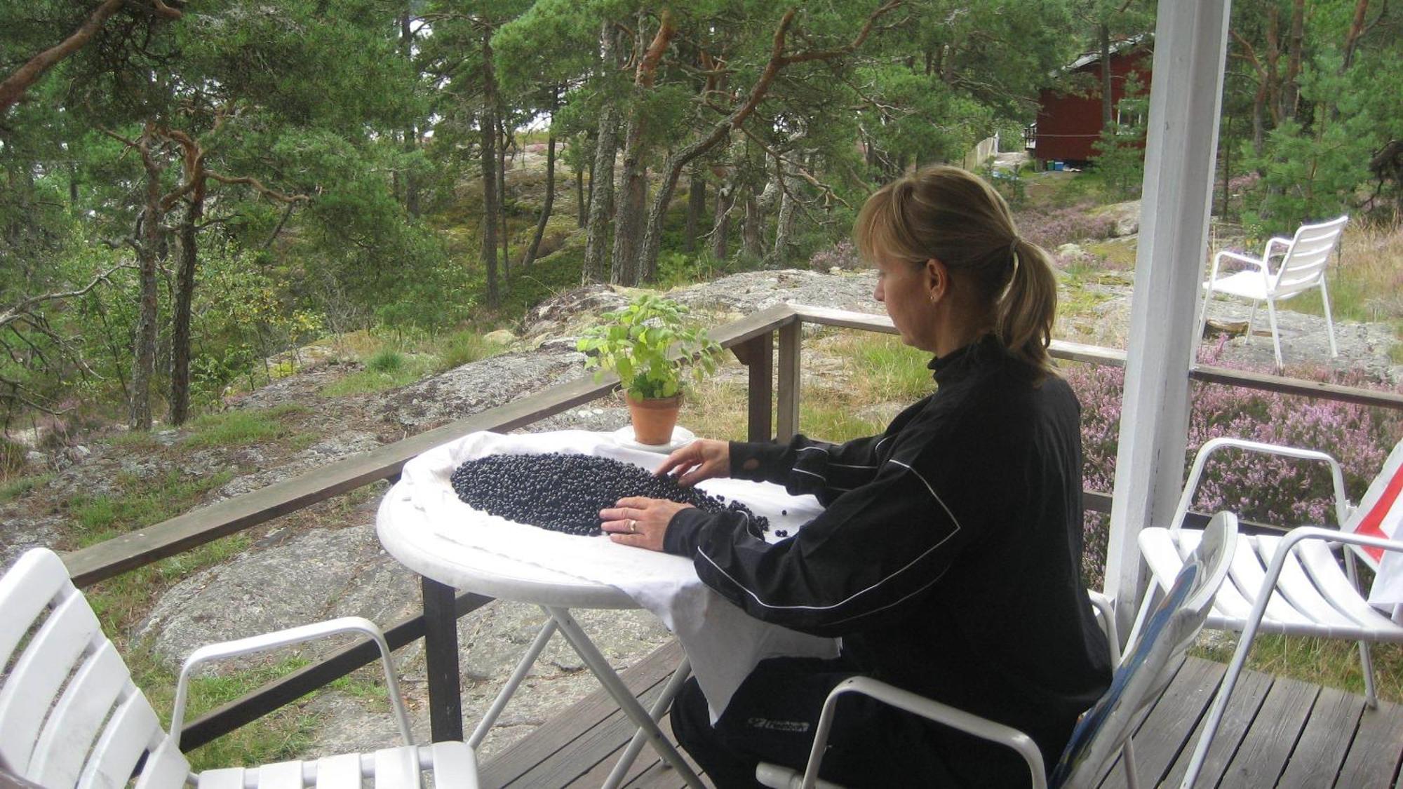 Rolfskaerrs Stugby Hotel Nygard  Bagian luar foto